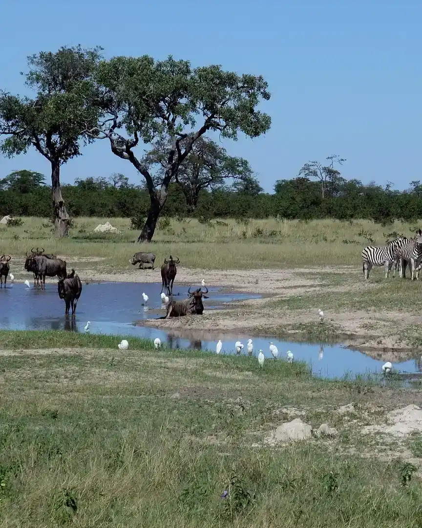 Foto: Parque nacional de Chobe · Botsuana