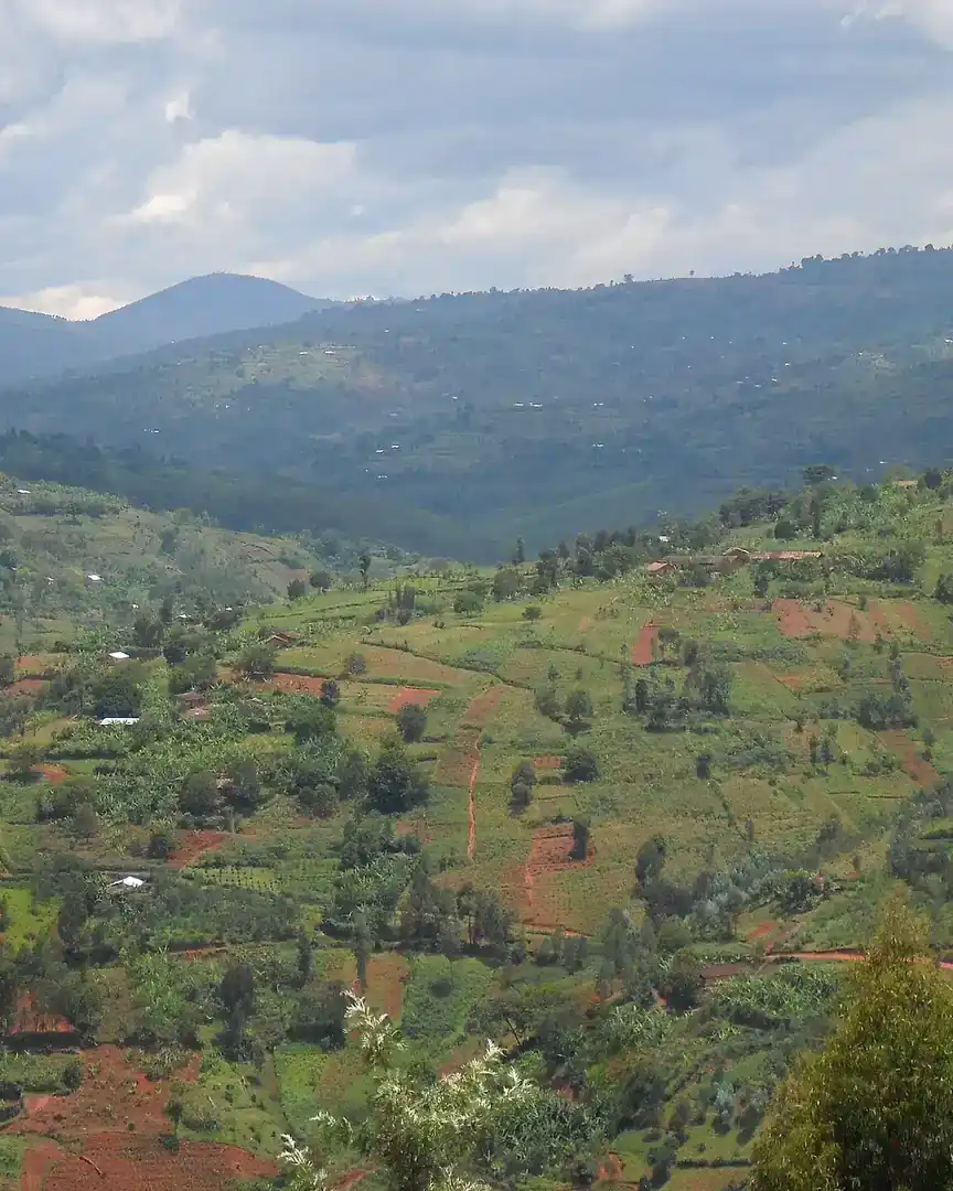 Foto: Colinas de Musagara · Burundi