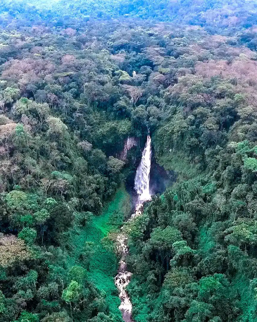 Foto: Parque Nacional Kahuzi-Biega · República Democrática del Congo
