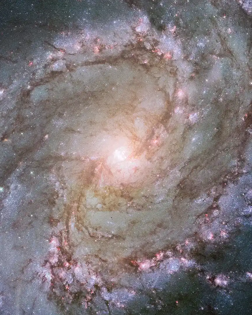 Foto: Galaxia del Molinillo Austral · El universo