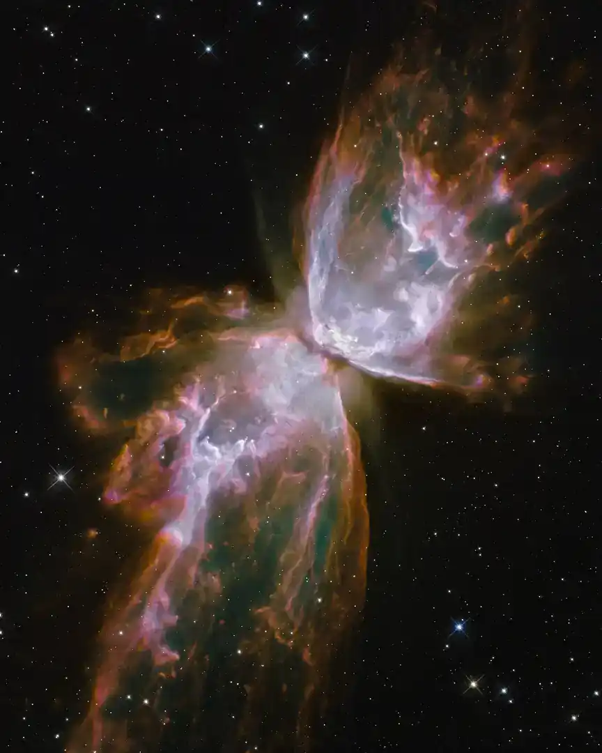 写真：バタフライ星雲 · 宇宙