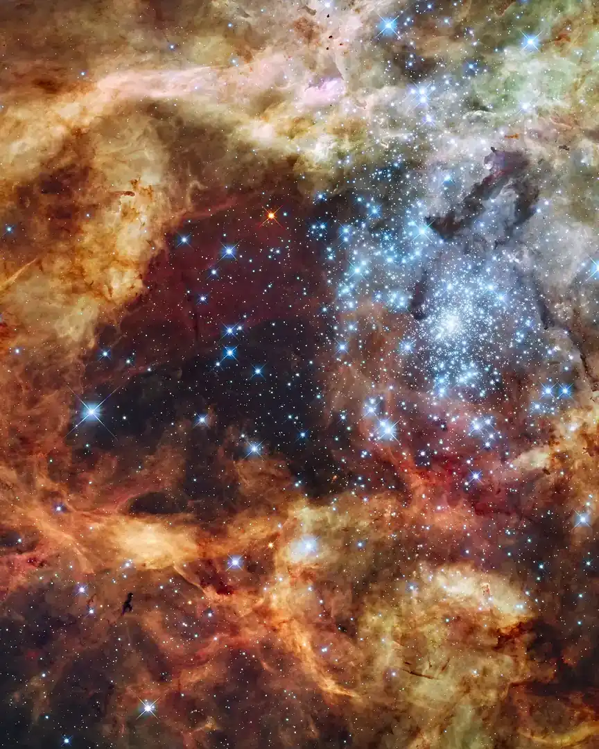 Foto: Cúmulo R136 en la Gran Nube de Magallanes · El universo
